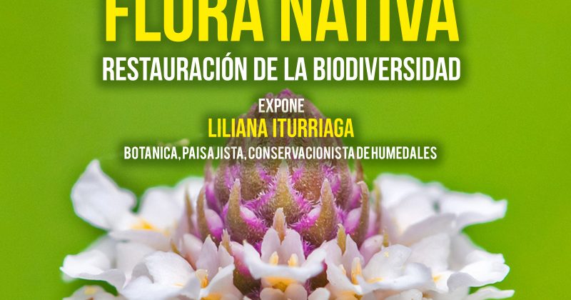 Flora Nativa, Restauración de la Biodiversidad