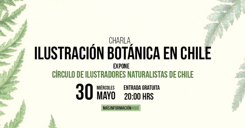 Ilustración Botánica en Chile