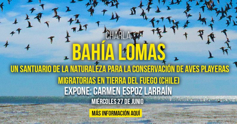 Charla mes de Junio