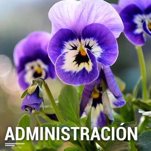 administracion