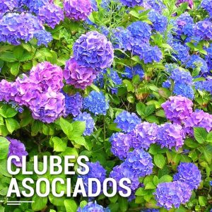 clubes-asociados