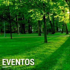 Actividades: Eventos