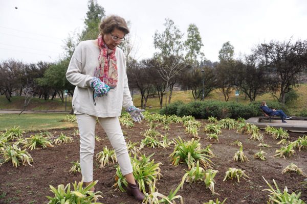 Aprendiendo Jardinería curso anual - Imagen 3