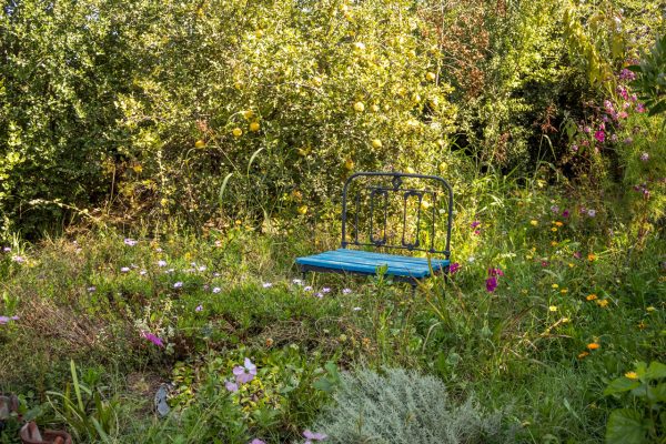Asociaciones Vegetales Sustentables