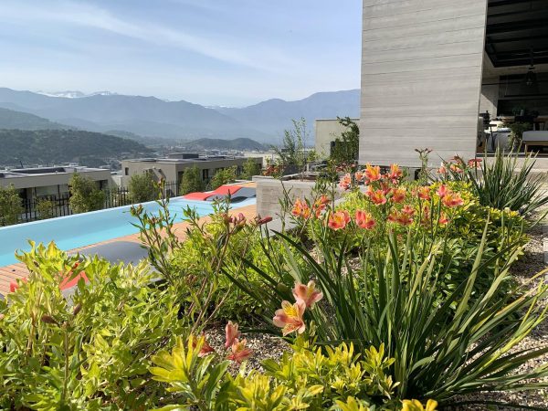 Diseño de Jardines para principiantes - Imagen 2