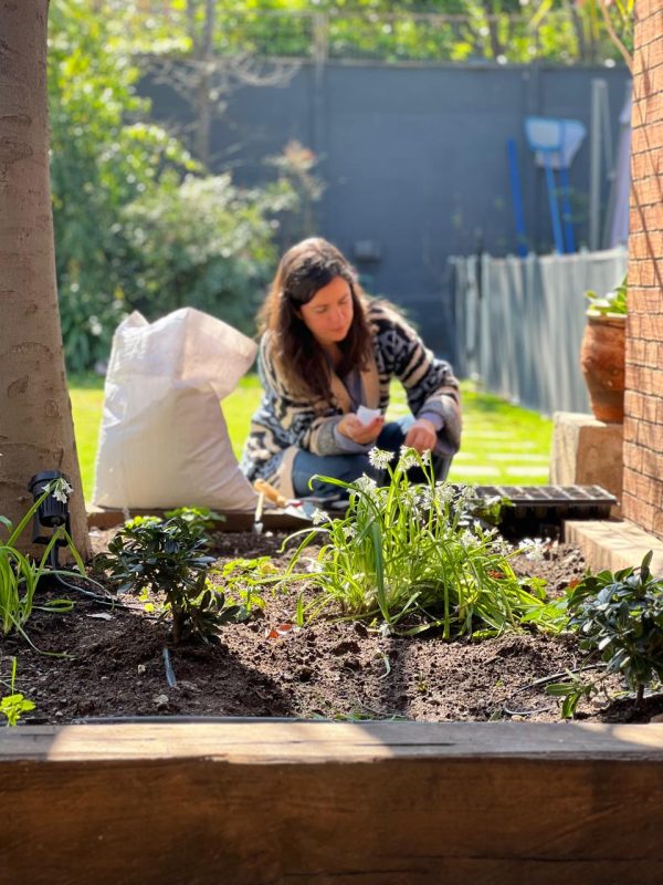 Diseño de Jardines para principiantes