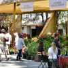Entradas Expo Jardines 2025 - Imagen 2