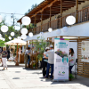 Entradas Expo Jardines 2025 - Imagen 3
