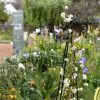 Entradas Expo Jardines 2025