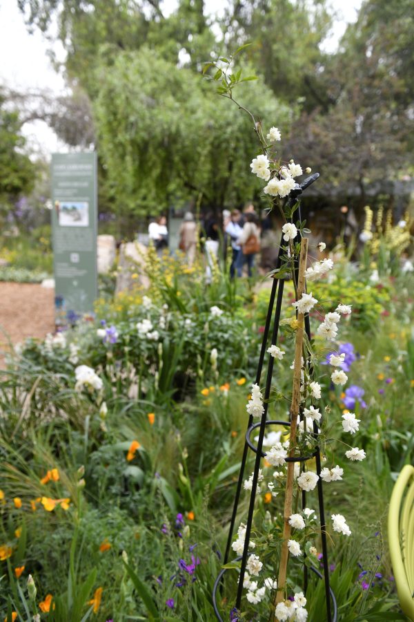 Entradas Expo Jardines 2025