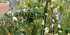 Entradas Expo Jardines 2025