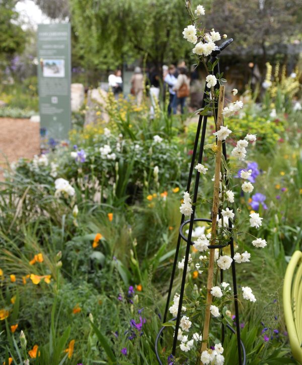 Entradas Expo Jardines 2025