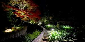 Iluminación de Jardines y Parques