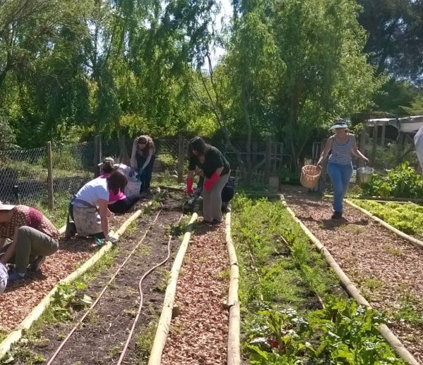 Jardinería Ecológica II Diurno - Imagen 3