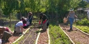 Jardinería Ecológica II Vespertino