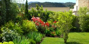 Diseño de Jardines para principiantes