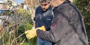 Curso de Jardinería Práctica_Manejo Avanzado del Jardín