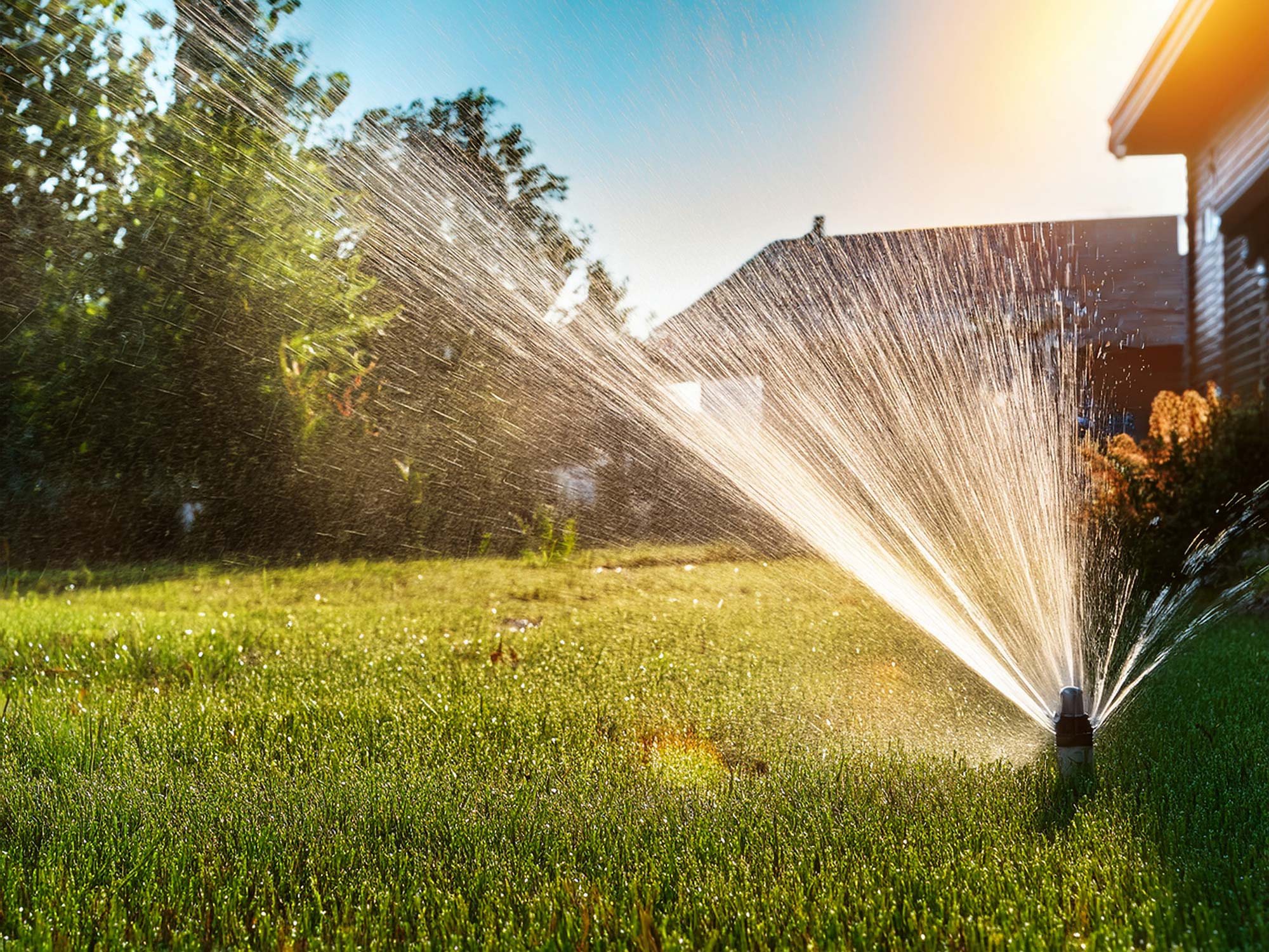 Riego Automático básico: criterios para jardines residenciales. - Imagen 3