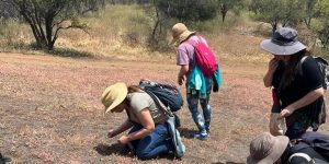 Propagación de especies nativas_zona central