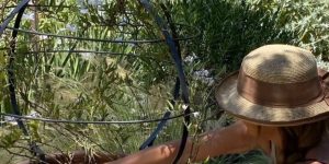 Mantención y cuidado del jardín