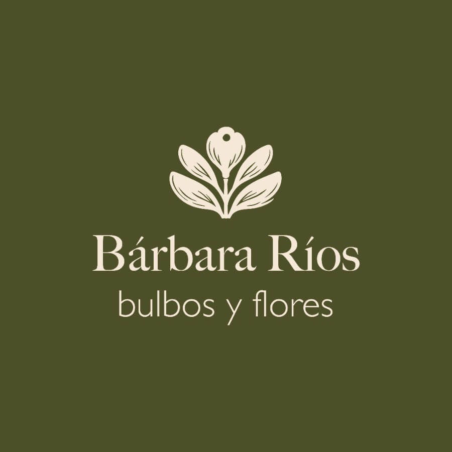 Logo Barbara Rios