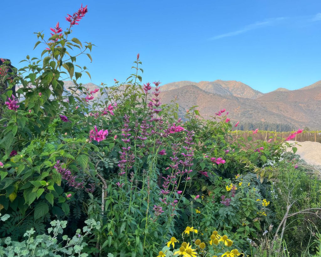 Charla Jardin de las flores
