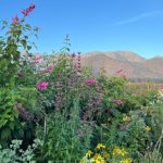 Charla Jardin de las flores