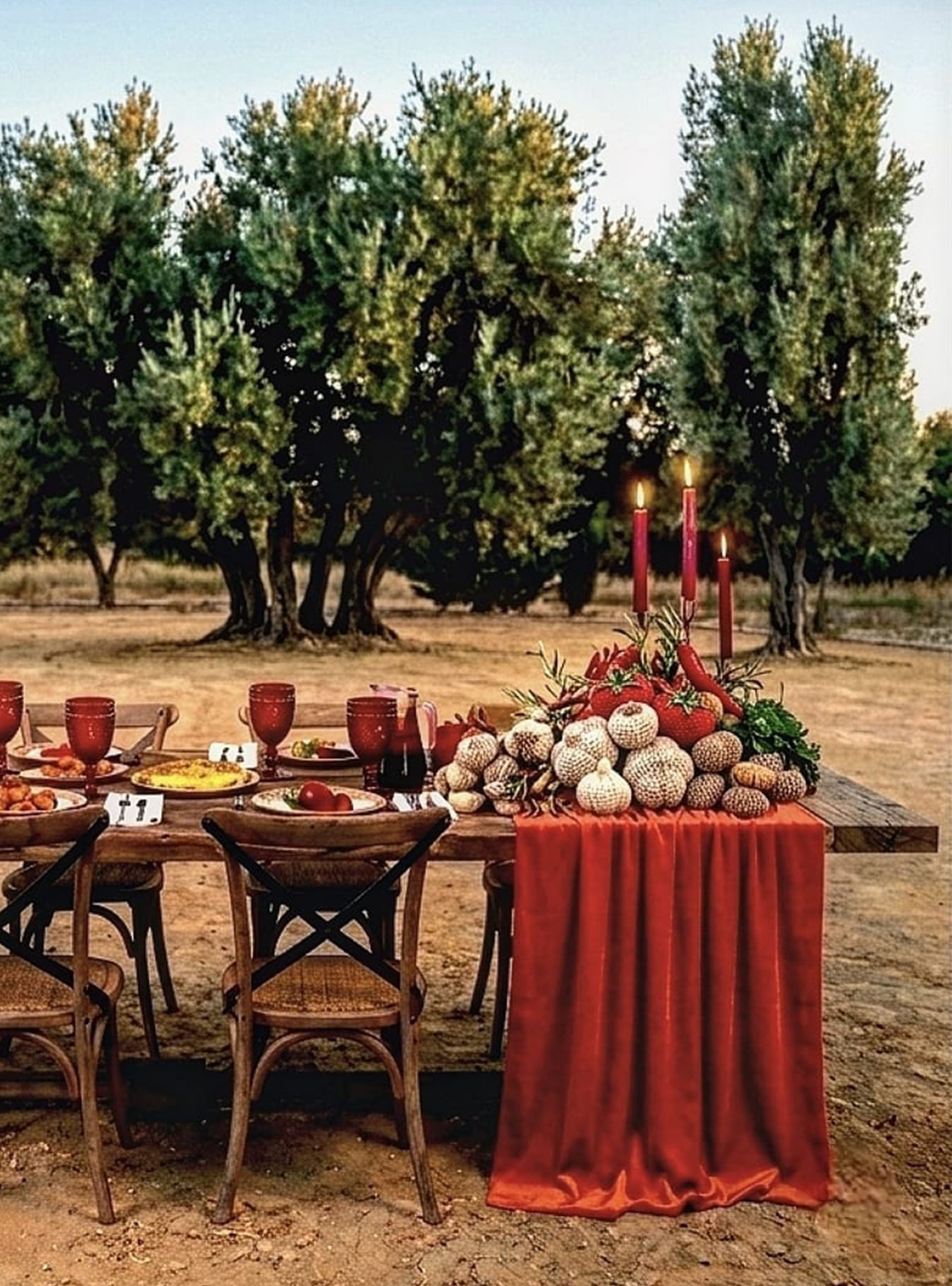 01_Comer en el jardin_Marcela Nicolas_proyecto 2